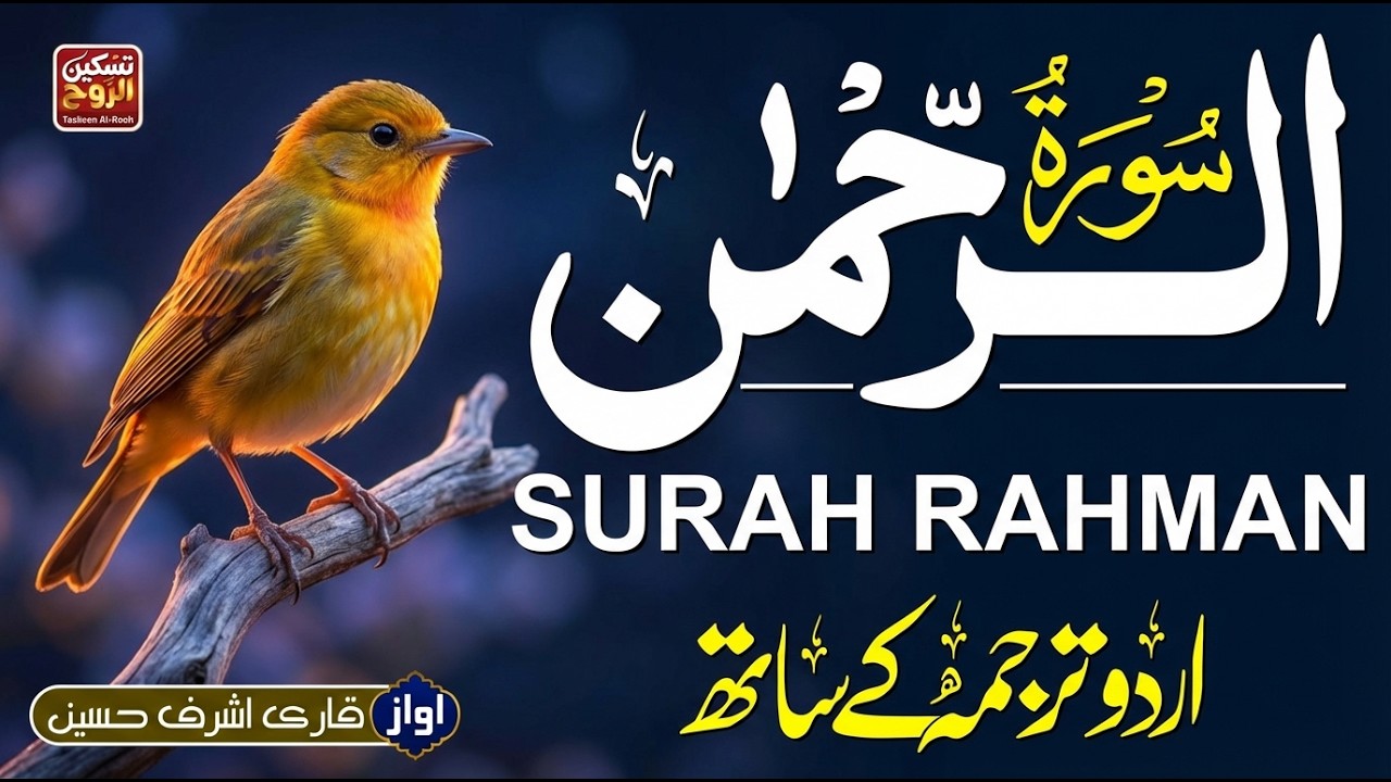 Surah Rahman (سورۃ الرحمن) Evening Tilawat with Urdu & Hindi Translation