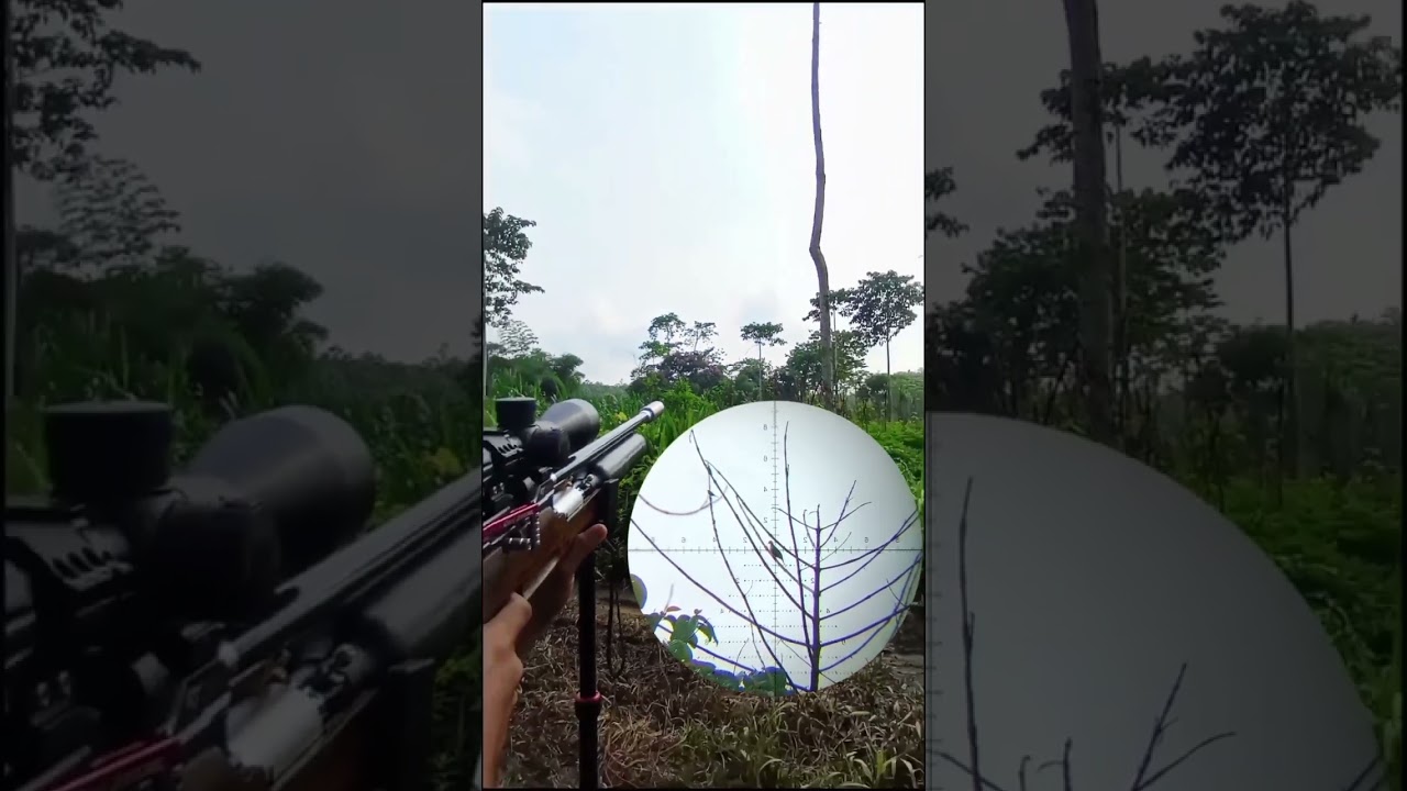 TEST LARAS ALFA BAREL Di CHAMBER RTxx‼️ #longrangerifle #hunting #berburutekukurterbaru#alfabarel