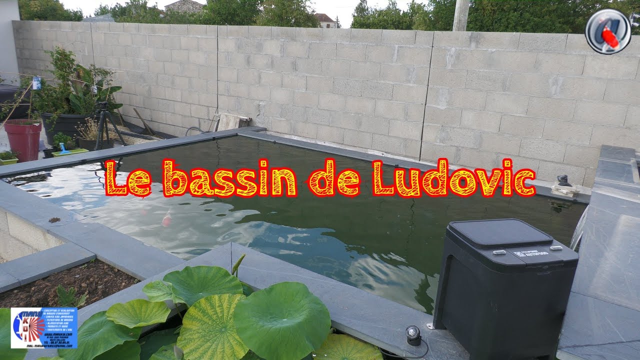 Le bassin de Ludovic