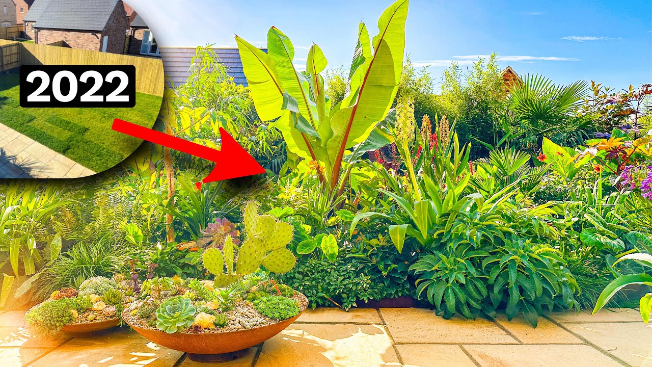 Navenby New Build Jungle - Garden Transformation Secrets & Bold Plant Ideas