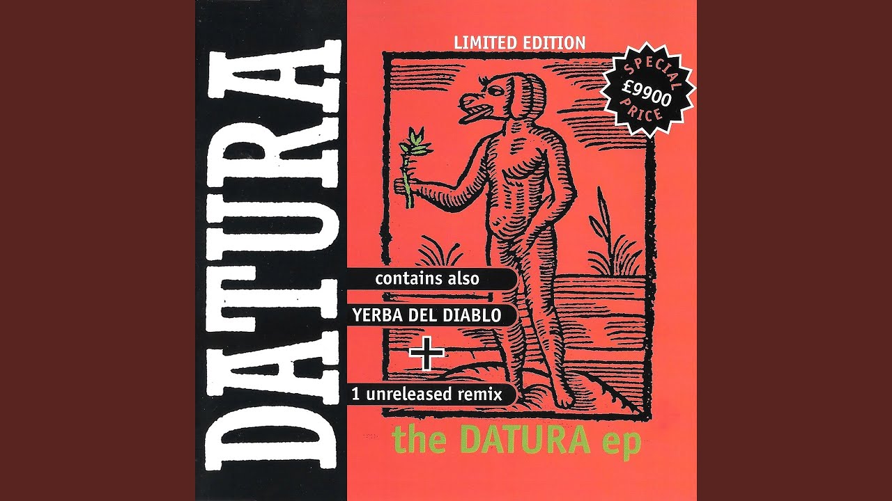 Yerba Del Diablo (Matzitli)