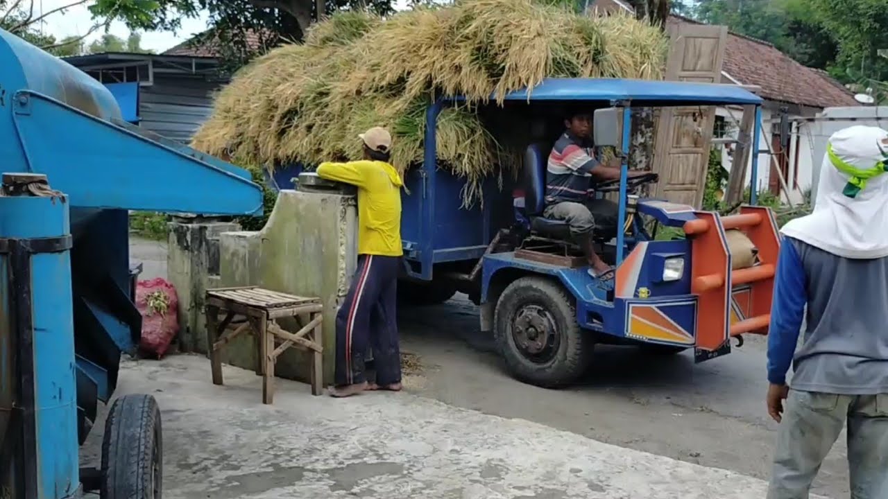 PERONTOK PADI KELILING 1 TRUK FULL [] Dos Padi Keliling