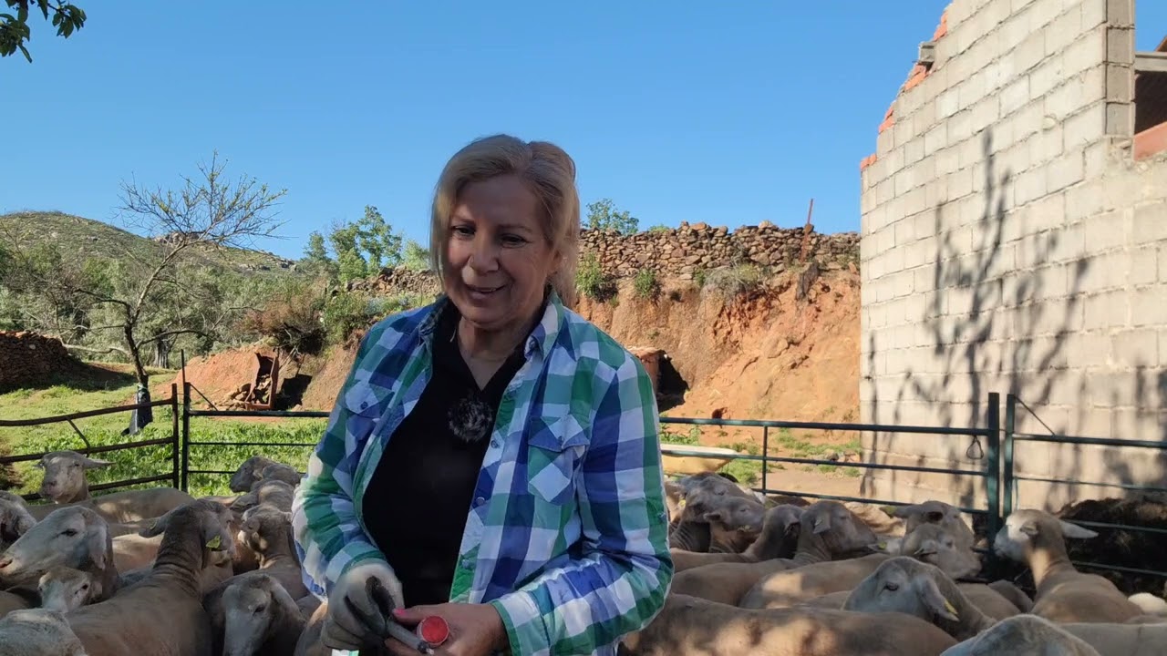 En la finca revisando el ganado
