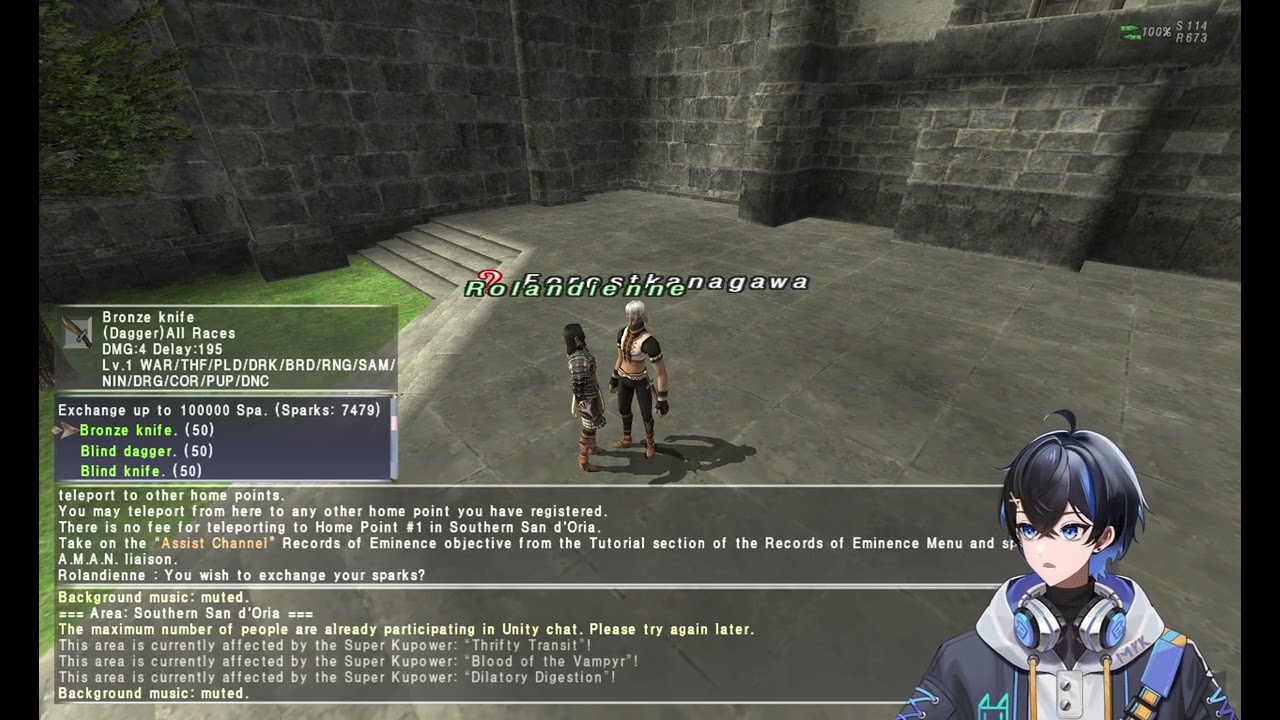 Leveling warrior sub job in ffxi day 27