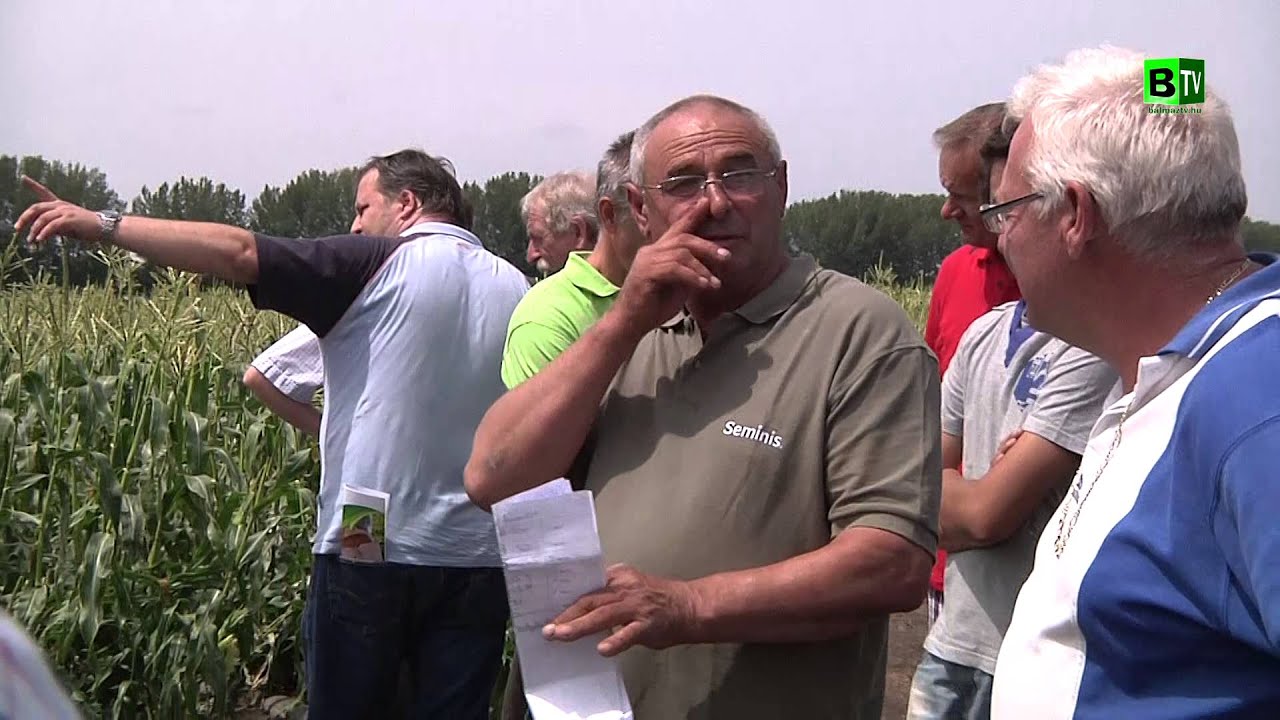 A csemegekukorica mestere - Szegedi Lajos előadása