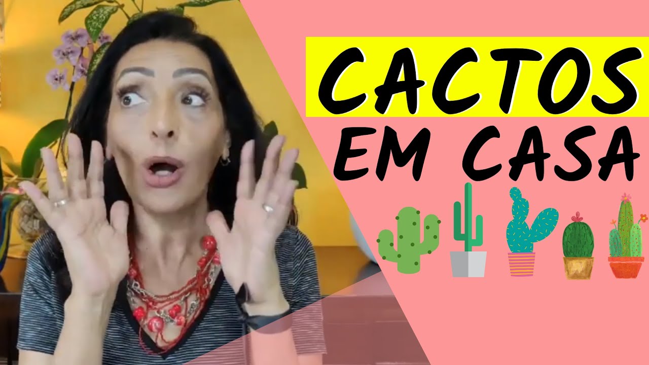 CACTOS EM CASA