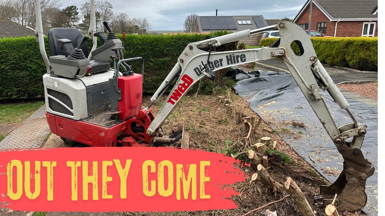 Removing Hedge Roots / Stumps with a mini Excavator/Digger & Ripper Tooth