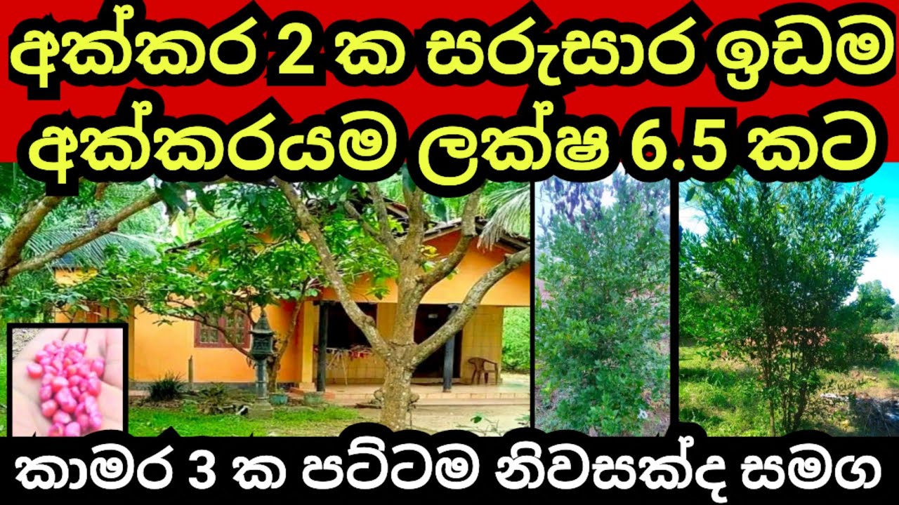 අක්කරයක් ලක්ෂ 6.5 කට විකුණන අක්කර 2 ක ඉඩම | House for sale | Aduwata idam | Land for sale| Idam sale