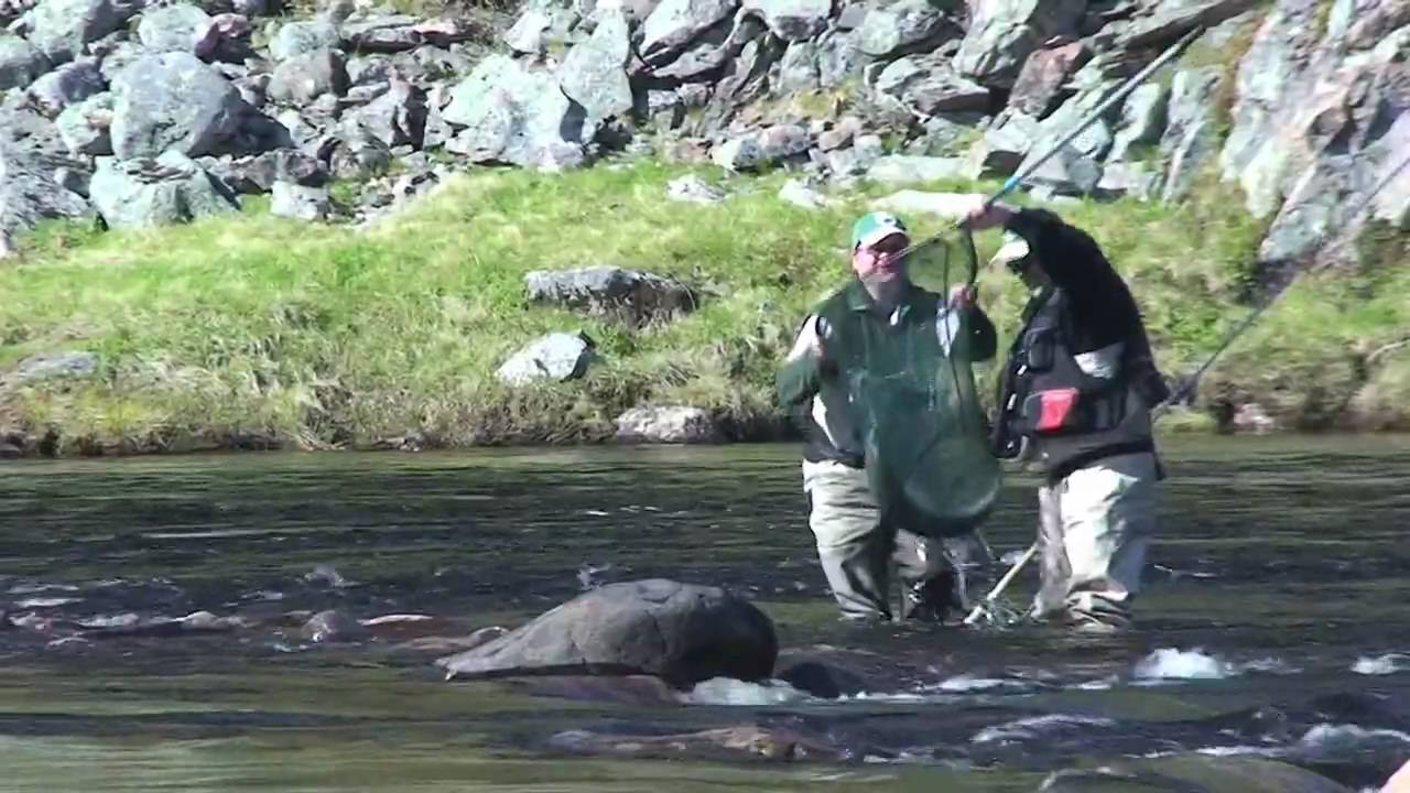 Kharlovka, Litza & Rynda-Salmon Fishing on the Kola Peninsula
