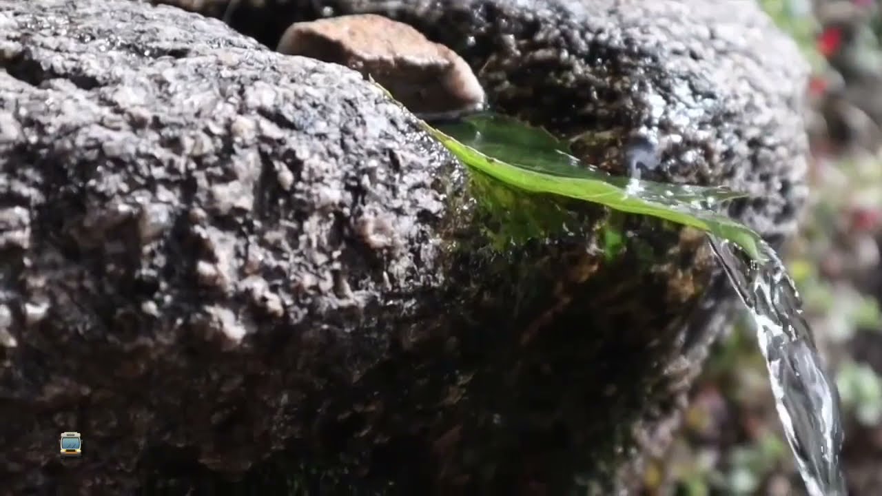 Cascata do Arado | 1min