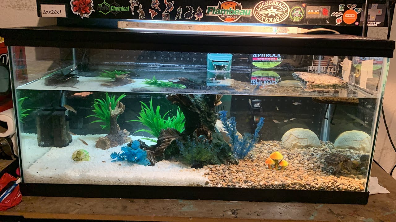 $40 Gallon Breeder tank for my snapping turtle
