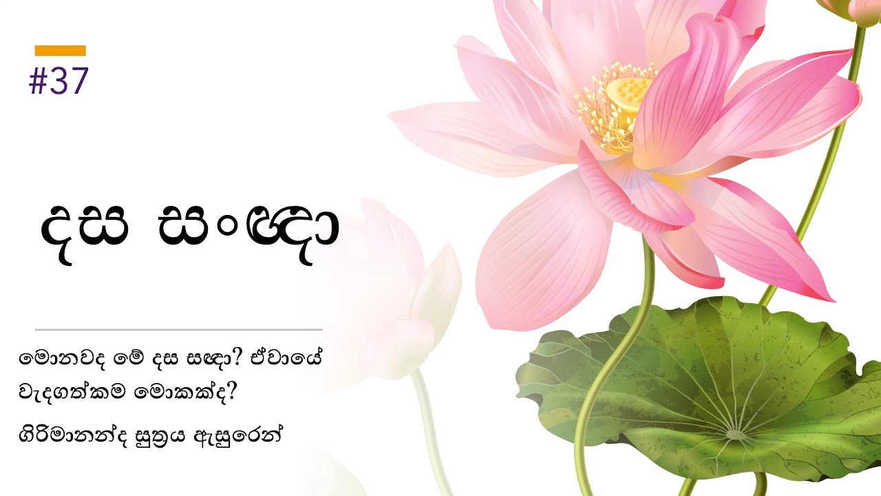 දස සංඥා ගිරිමානන්ද සුත්‍රය ඇසුරෙන් - From Girimananda Sutta