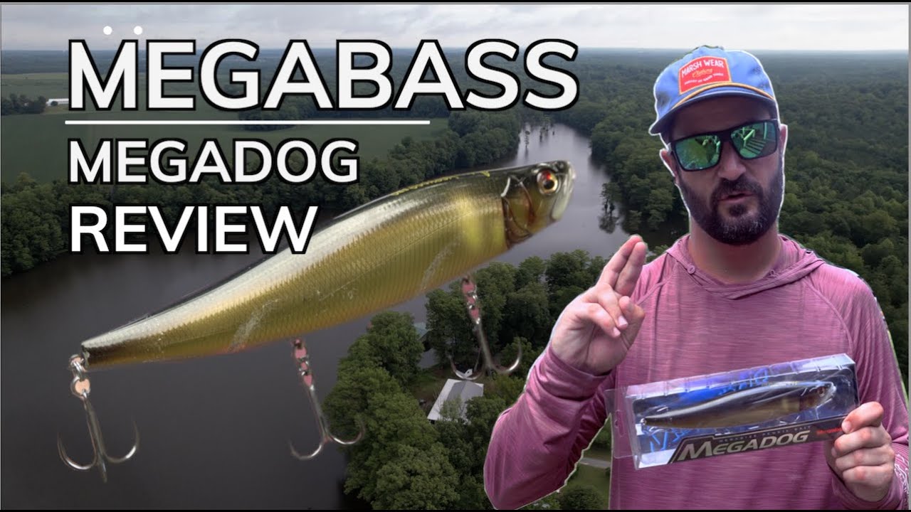 MEGABASS | MEGADOG BAIT REVIEW
