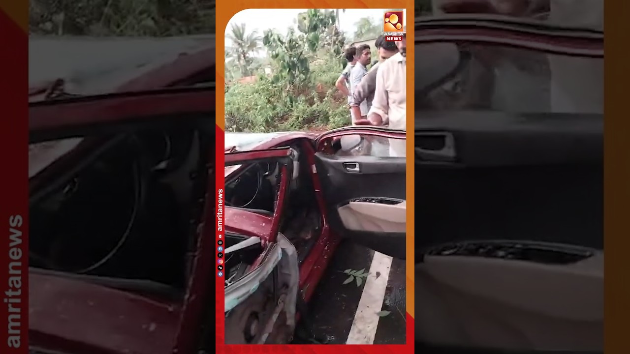 ഓടിക്കൊണ്ടിരുന്ന കാറിന് മുകളിലേക്ക് മരം വീണ് അപകടം | Kasargod Accident