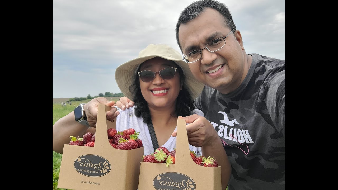Strawberry picking at Organics Farm, Markham, Ontario | Things to do around Toronto/GTA