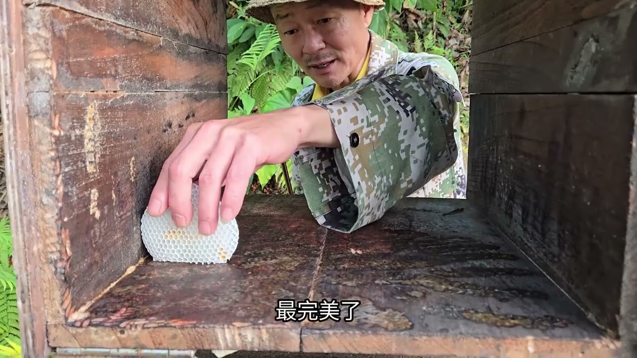 继续抓蜂王 请租客