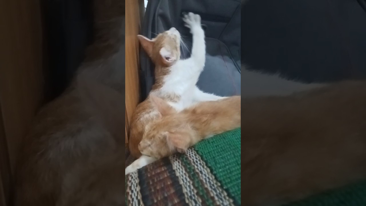 Tired of Playing 