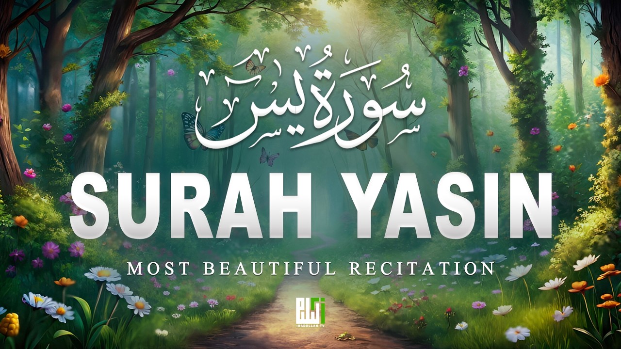 Surah Yaseen سورة يس | Soothing & Beautiful Recitation for Inner Peace by Alaa Aqel | ibadullah TV