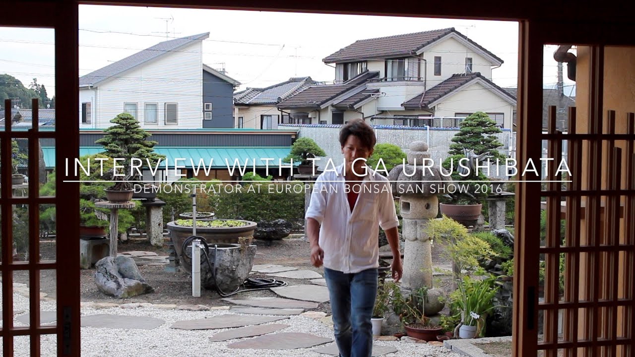Interview Taiga Urushibata