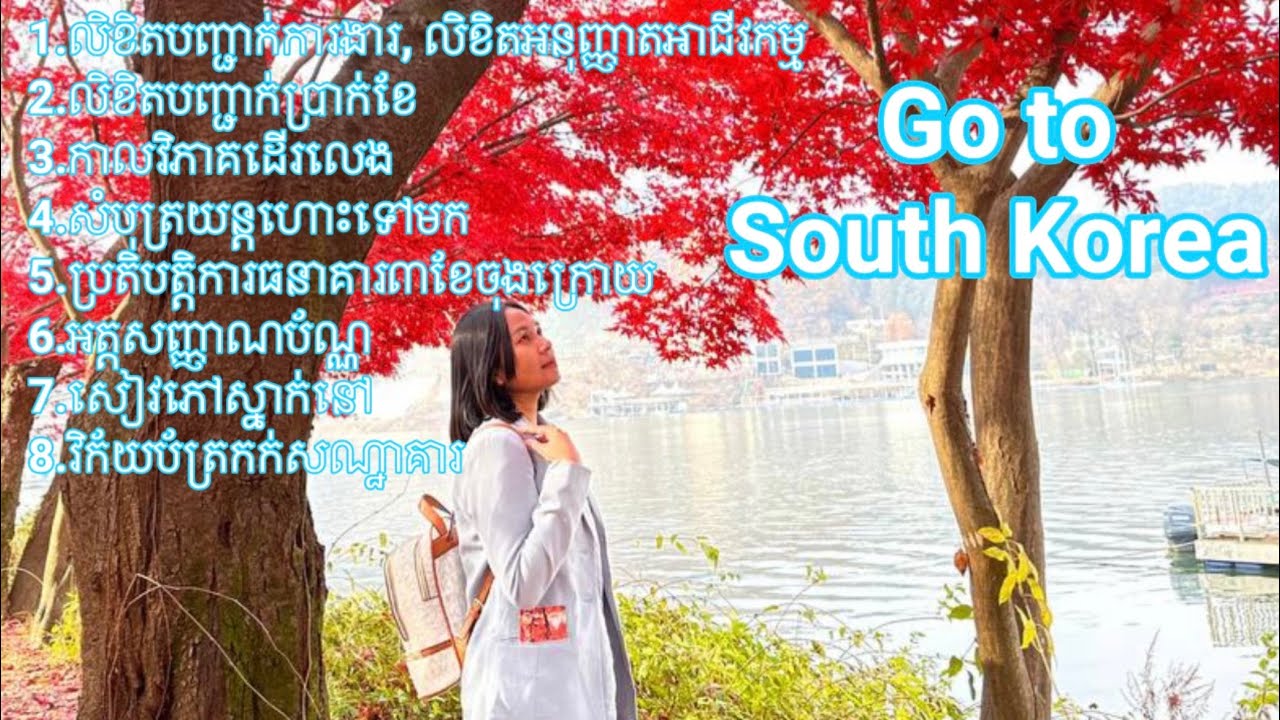 ស្នើរសុំទិដ្ឋាការទៅប្រទេសកូរ៉េខាងត្បូង ត្រូវមានឯកសារអ្វីខ្លះ?