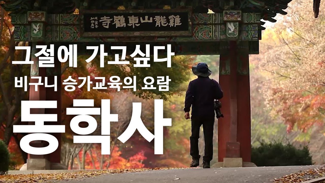 비구니 승가교육의 요람 _ 동학사 [그절에 가고싶다]