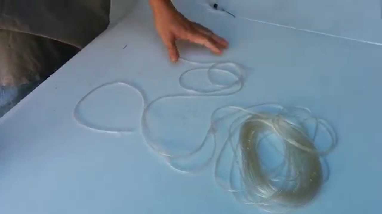 Home In Wall Pest Tubes DIY injection part 2