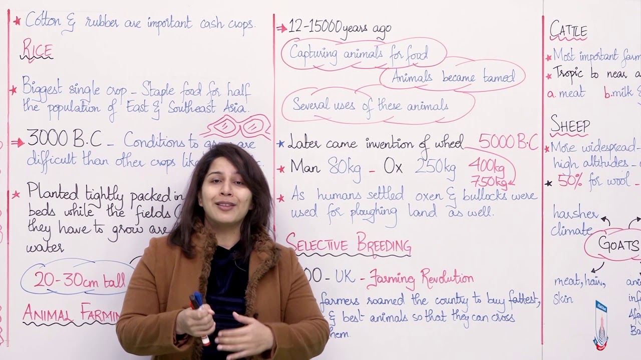Class 8 - Social Studies - Chapter 4 - Lecture 1 Agriculture and Main Crops - Allied Schools