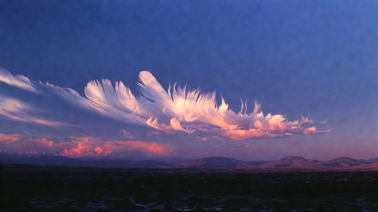 Hope is the thing with feathers 507