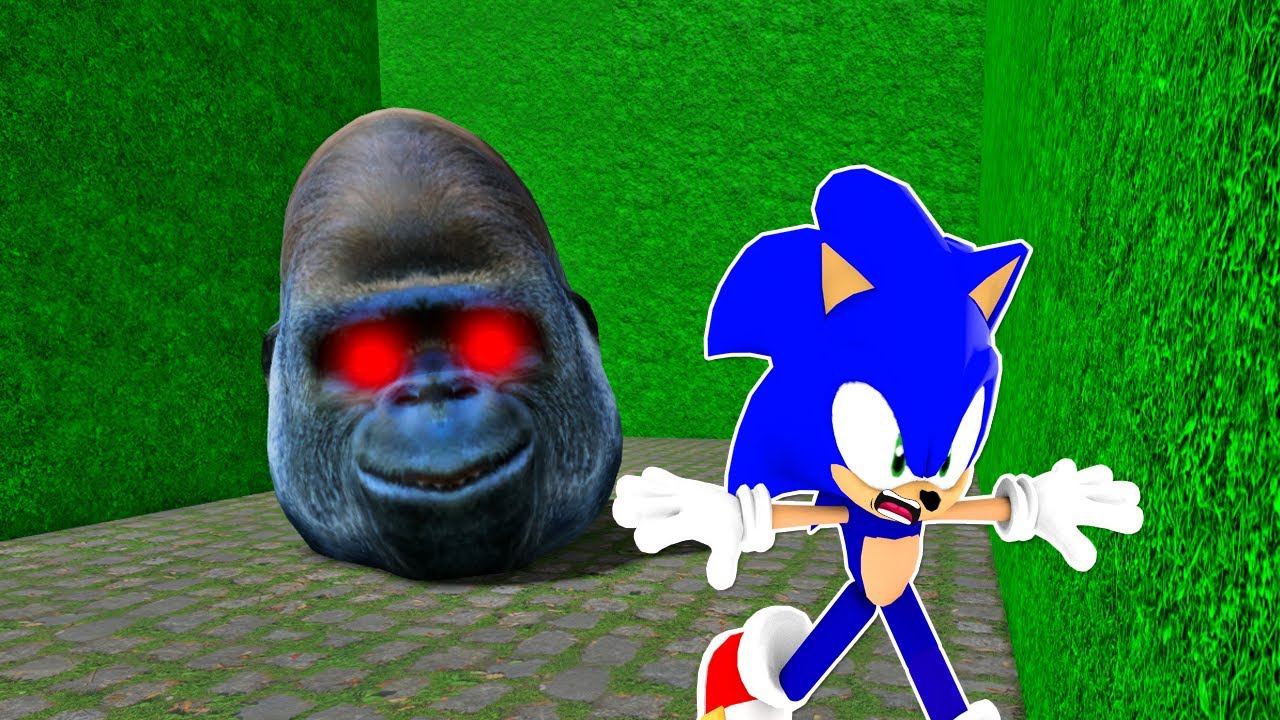 Sonic Played Escape Animal Head Obby in ROBLO | Sonic plays Roblox