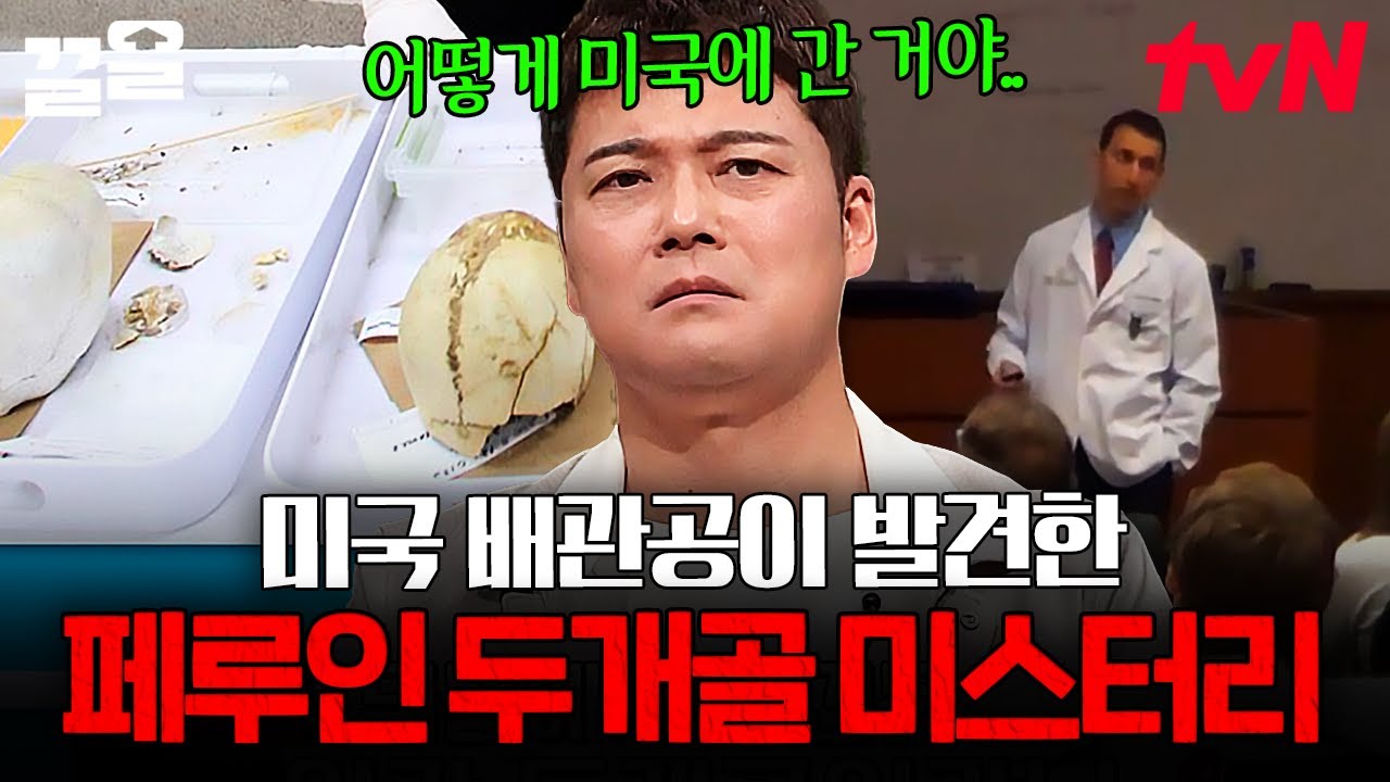 파헤칠수록 떠오르는 의문점🤔 미국 배관공이 찾아낸 페루인 두개골 속 미스터리 | 프리한19