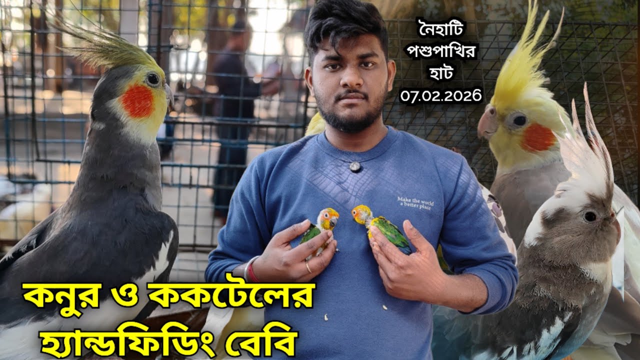 ।।কনুর ও ককটেলের হ্যান্ডফিডিং বেবি।।Part -3।।Naihati Pet Market✨।।Recent Price of Exotic Birds।।