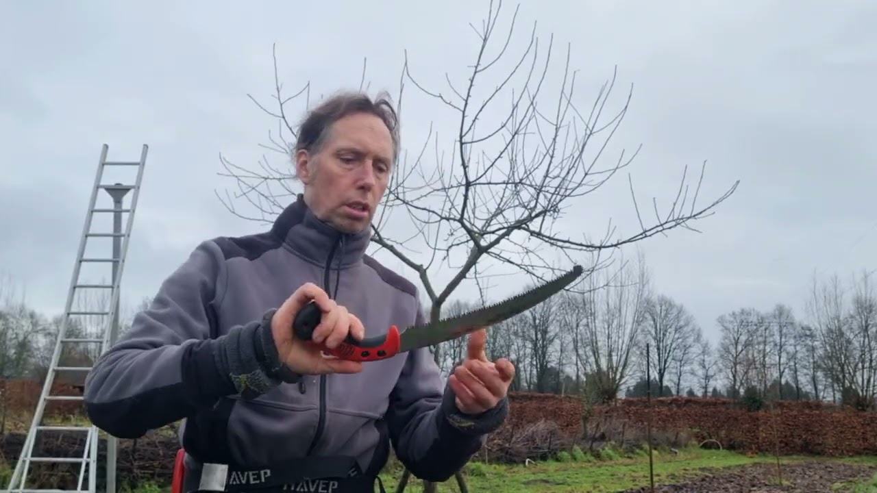 buitenleven met Frodo. Hoogstamappel snoeien deel 1