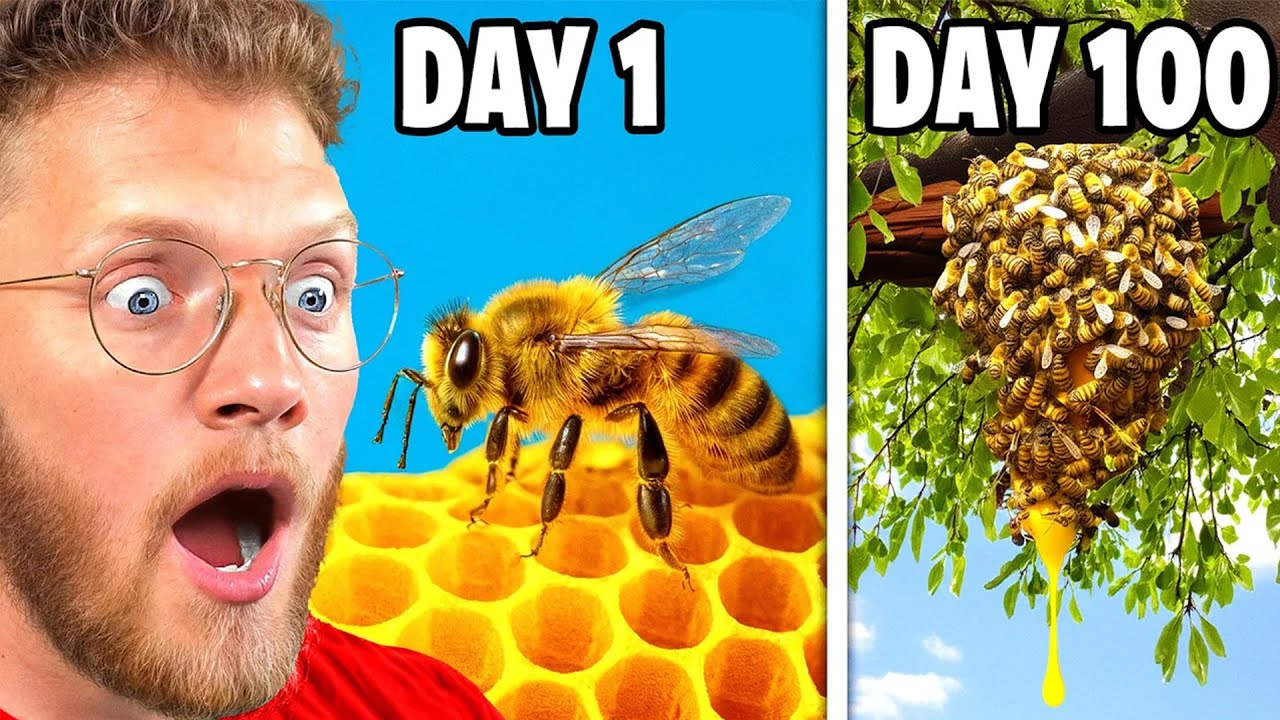 He Simulated a 10,000 Bee Colony