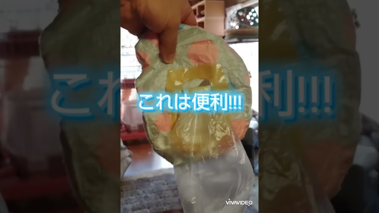 お尻が汚れない便利な袋付き犬用オムツを作ってみました。