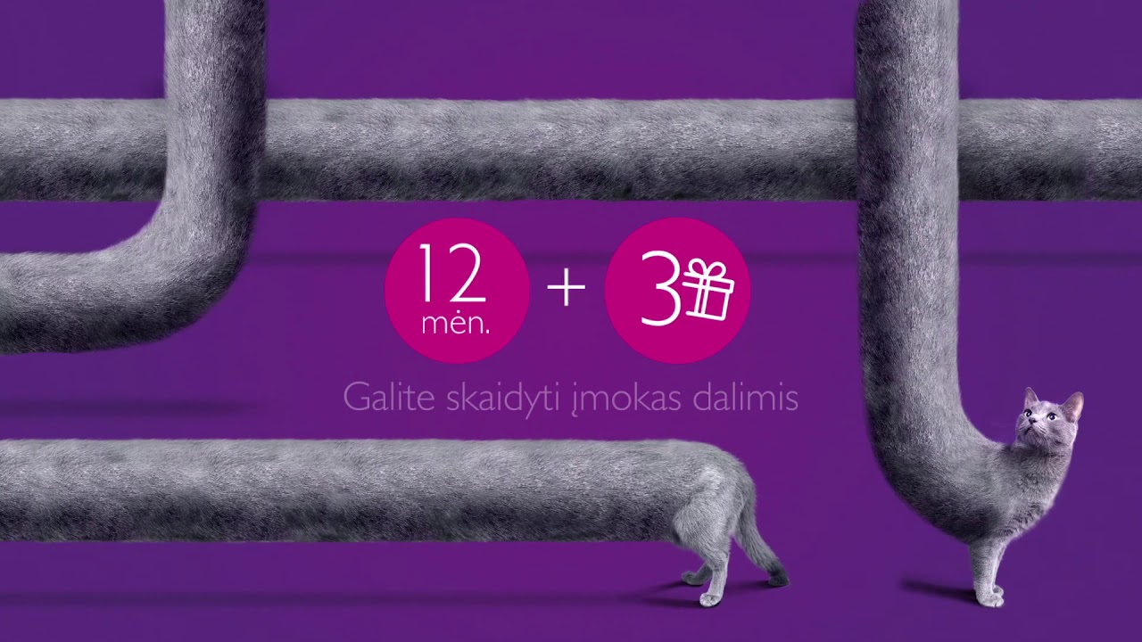 Pailgintas būsto draudimas