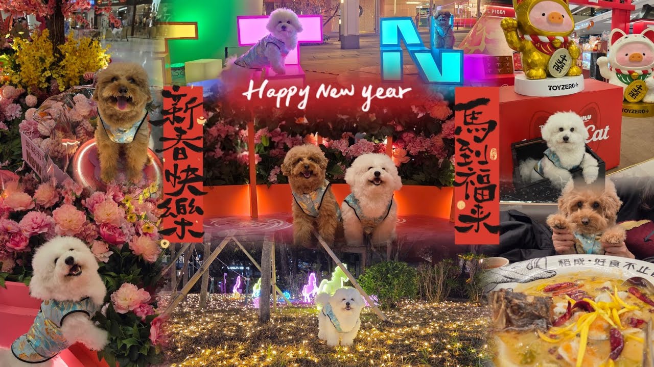 新年快樂 馬年行大運【小腳掌大世界🐾】