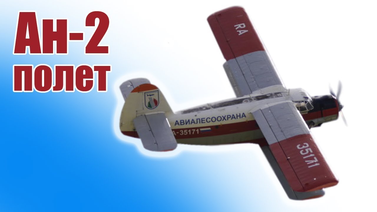 Большой Ан-2 увидел небо | ALNADO