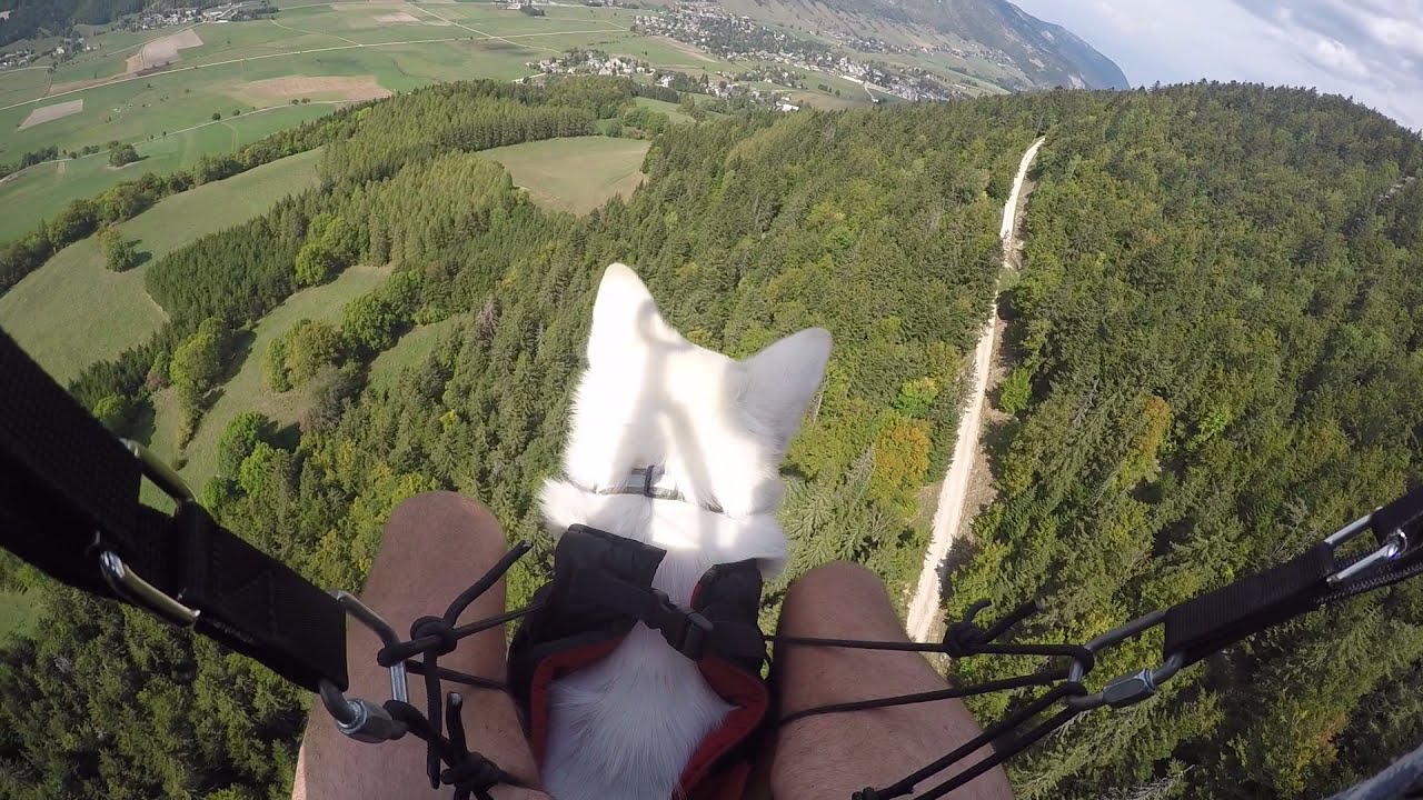 Parapente avc ma Chienne Doly