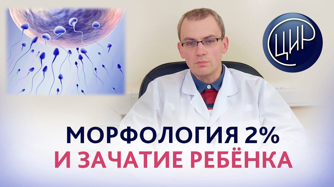 Морфология сперматозоидов и зачатие ребёнка. Врач-уролог-андролог ЦИР, к.м.н., Живулько А.Р.