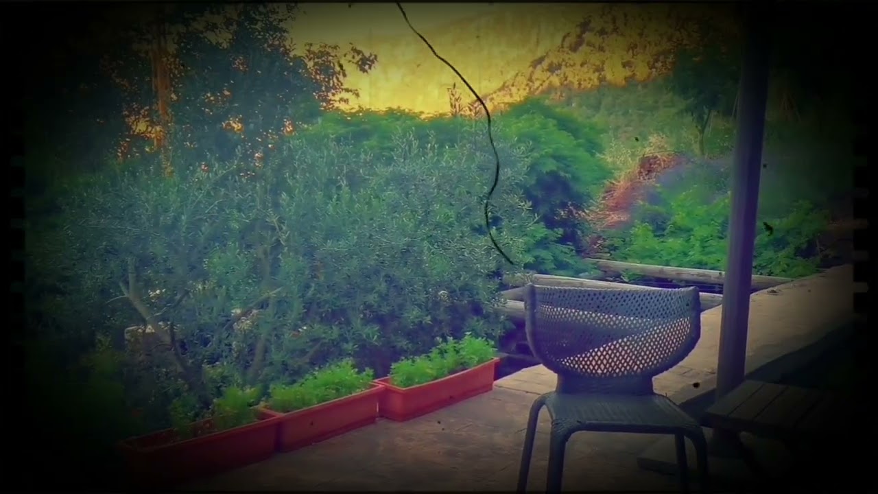 Hidden gem #tuckedaway little house in the Lebanese mountains.