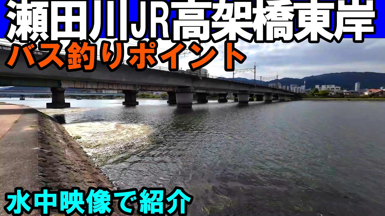 瀬田川東岸のJR高架下周辺のバス釣りポイントを水中映像で紹介！ビッグバスが狙える！