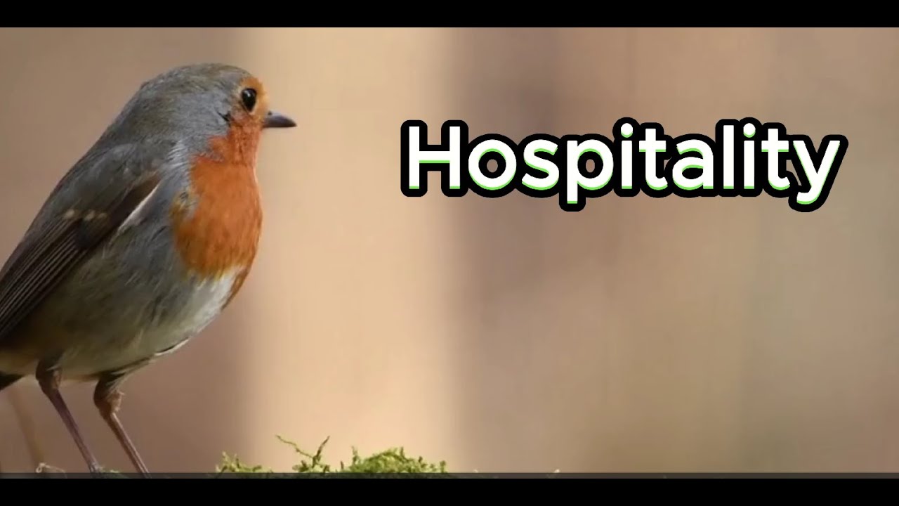 Hospitality