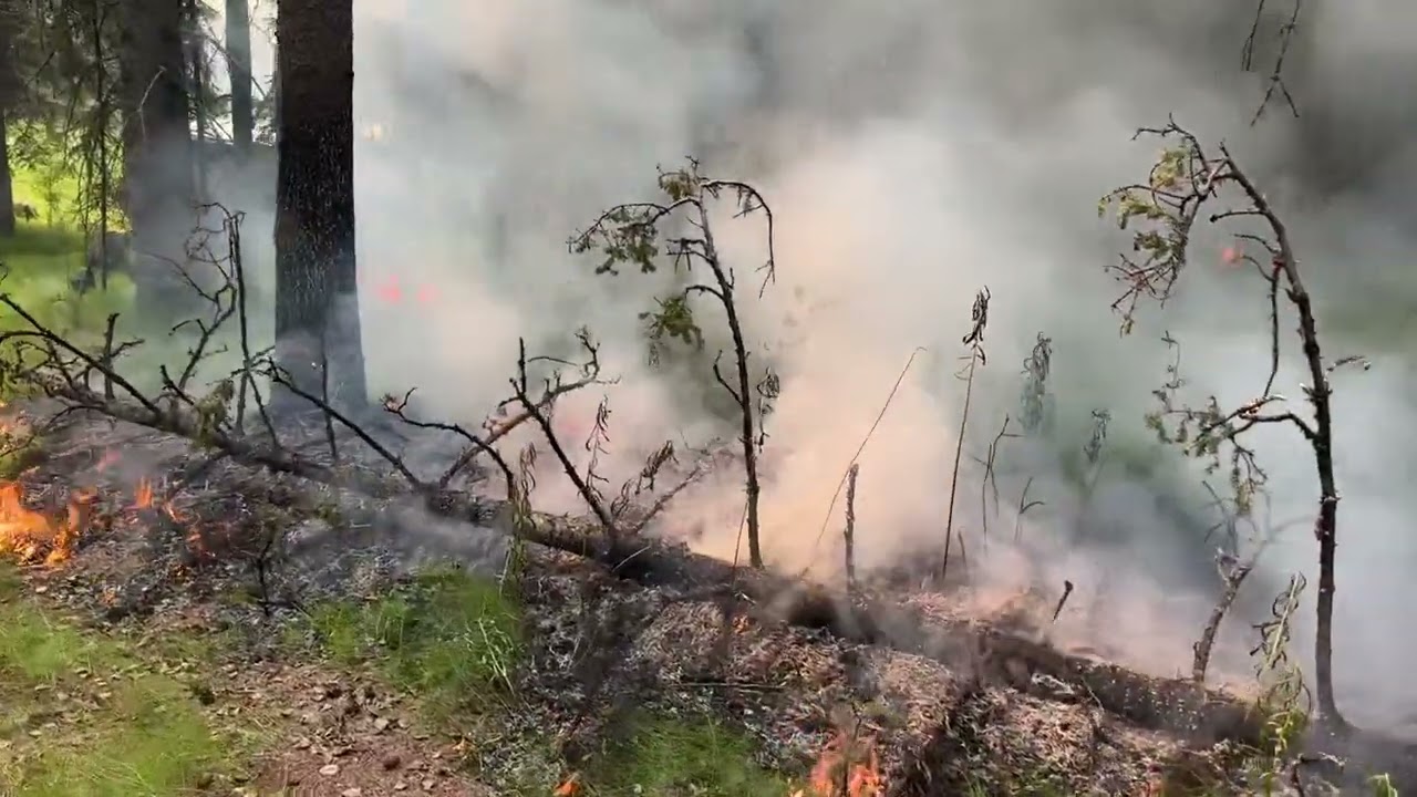 Firing Operation - Bonanza Creek Fire - 7/3/25