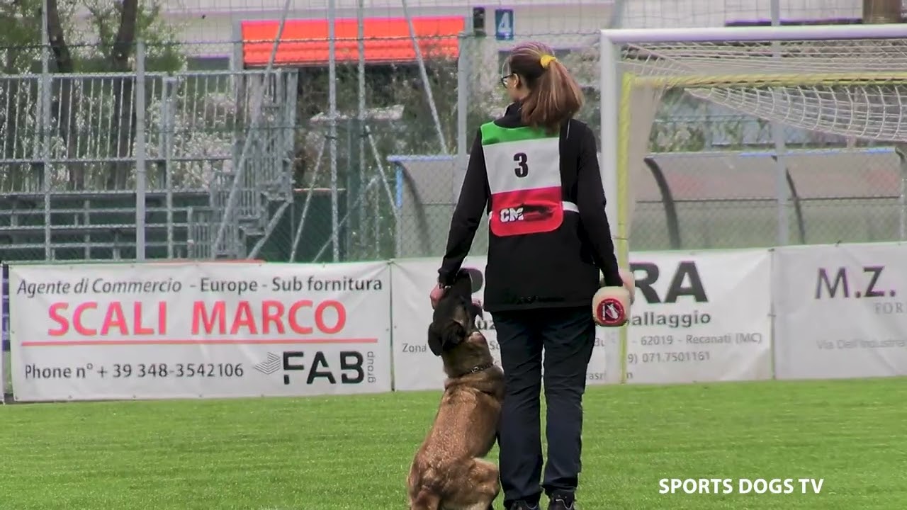 THEODOROU CAMILLA FASE B 75 PUNTI TROFEO ENCI 2025 - Sports Dogs - Il Meraviglioso mondo dell'IGP.