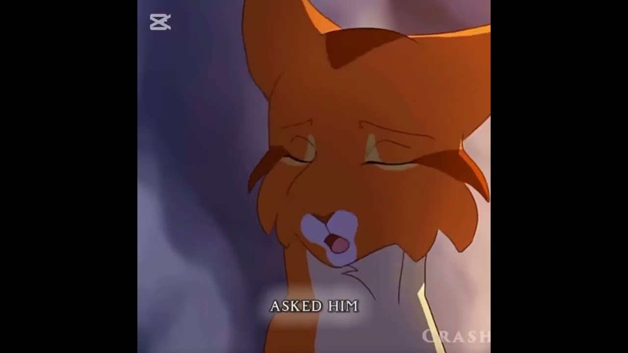 Sad warrior cat edit 😢 #sad #warriorcats #cry #warriorcats #bluestar #fireheart