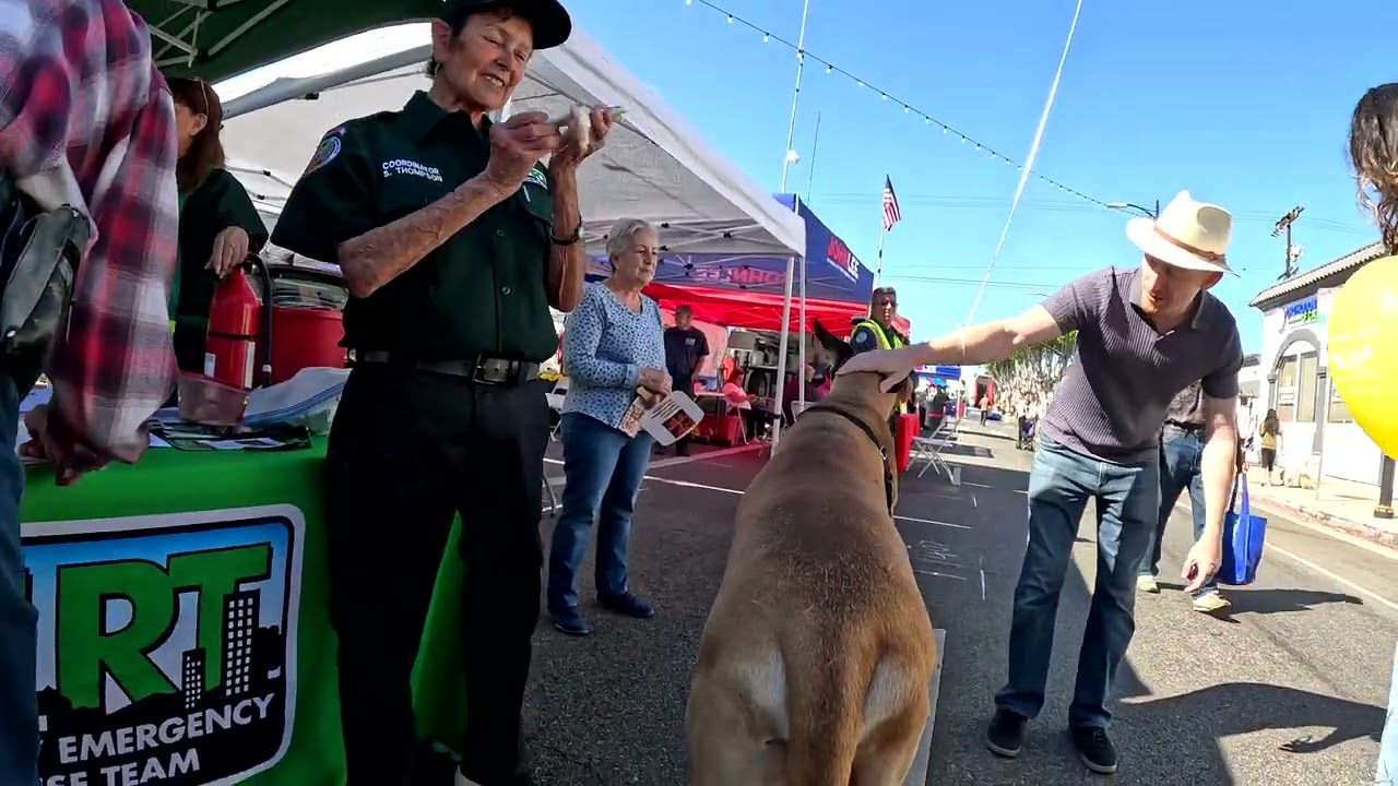 Cash 2.0 Great Dane at the Granada Hills Street Fair 2024 (2 of 10)