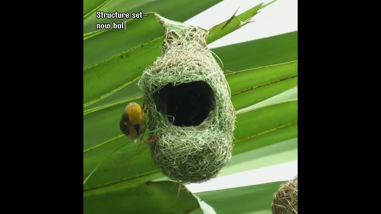 இறைவா உன்னால் மட்டுமே இப்படி ஓர்  உலகை படைக்க முடியும்  நெஞ்சம் நிறைந்த நன்றிகள் அதிசயம் ஆனால் உண்மை