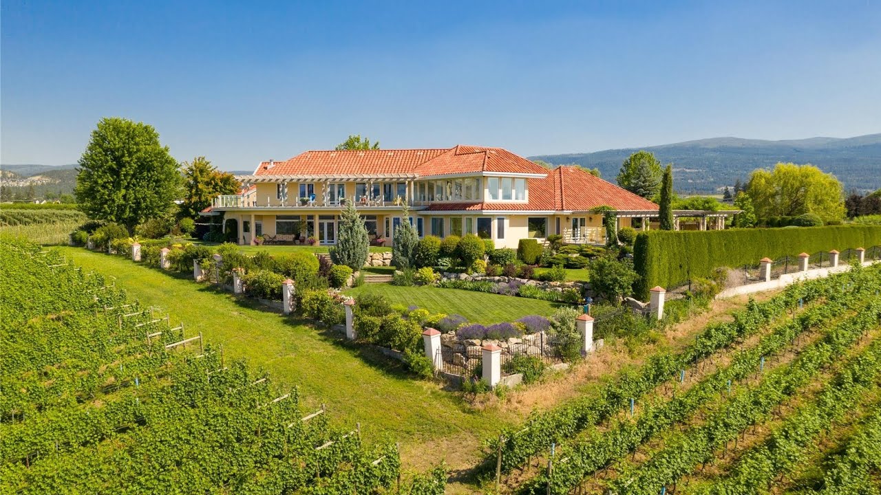 Vibrant Vine Winery for Sale - #1 Winery on TripAdvisor