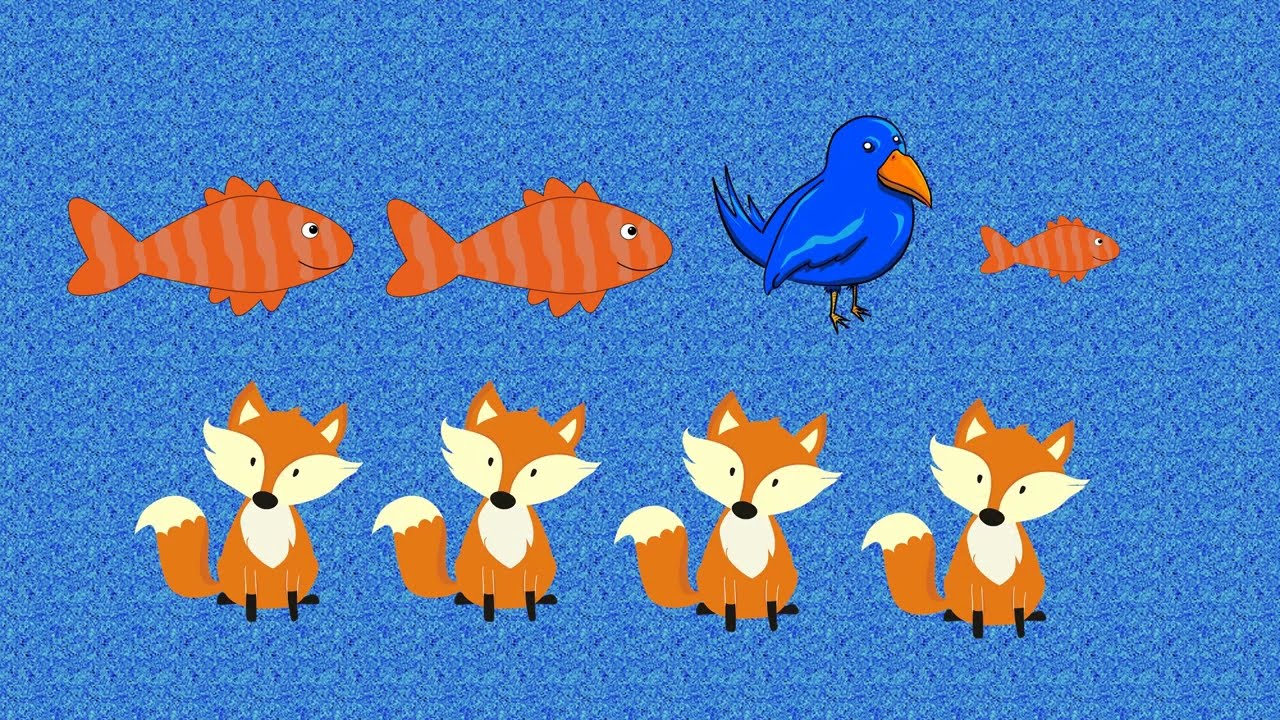 Jeroen Schipper: Vis vos vogel