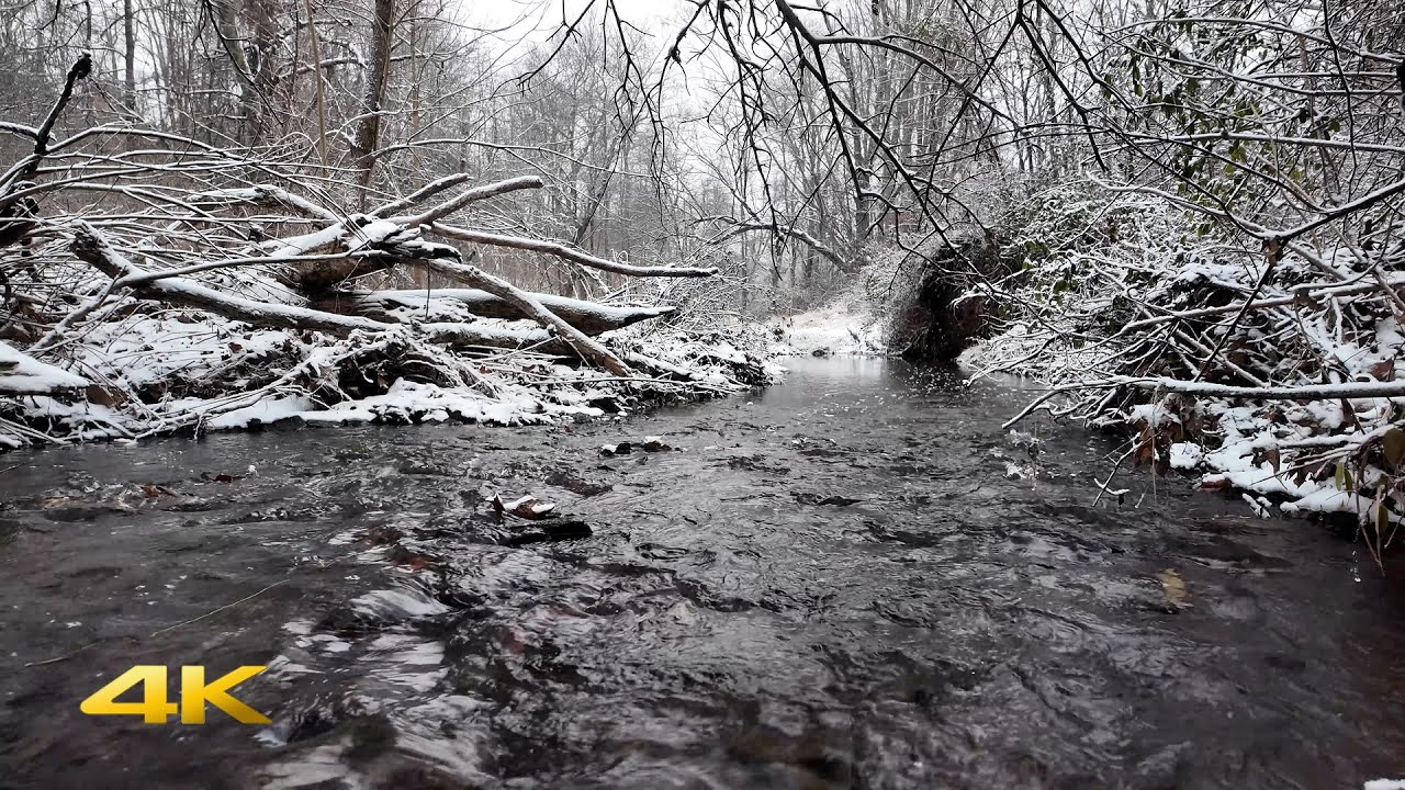 Quiet Winter Creek in the Forest | Flowing Water & Snow Ambience (No Music)